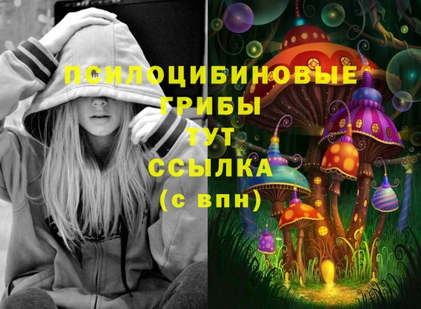 гидра Абинск