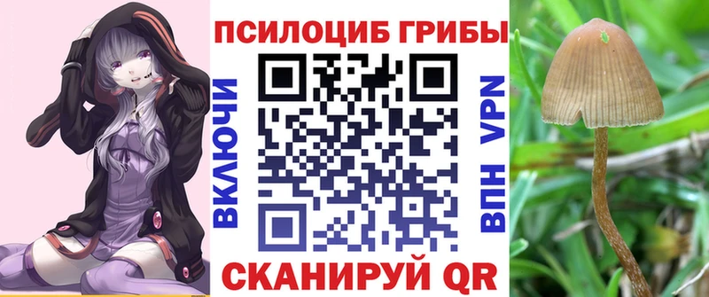 хочу наркоту  Дербент  Псилоцибиновые грибы мицелий 